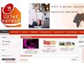http://uzletkereso.net  ismertető oldala